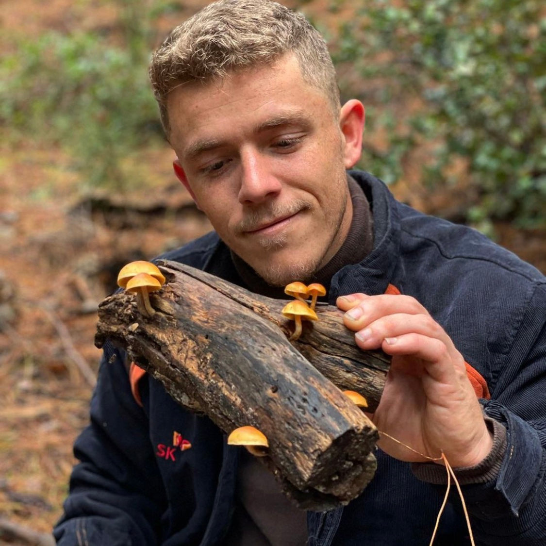 Learn to identify mushrooms in South Africa with our mushroom identification workshops! Our workshops are led by experienced mycologists and will teach you everything you need to know to safely identify and enjoy the diverse range of mushrooms in our country. Sign up for a workshop today and start exploring the world of mushrooms! 